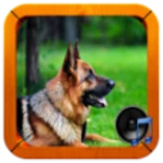 Logo of dog sounds android Application 