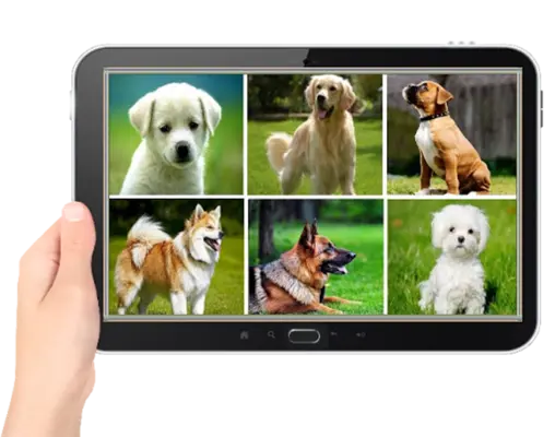 dog sounds android App screenshot 8